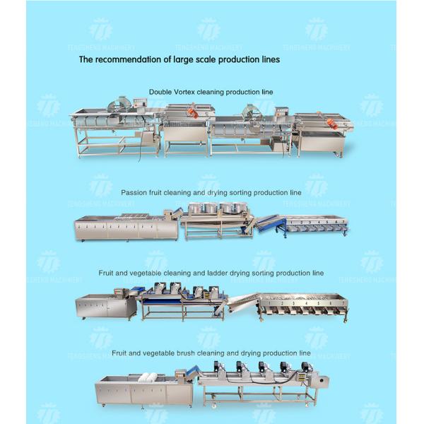 Multifunction Fruit And Vegetable Processing Line Automatic Washing And Sorting Machine