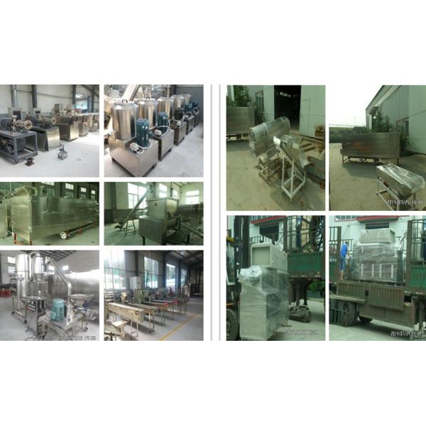 Twin Screw Extruded Food Processing Machinery for Panko Bread Crumb