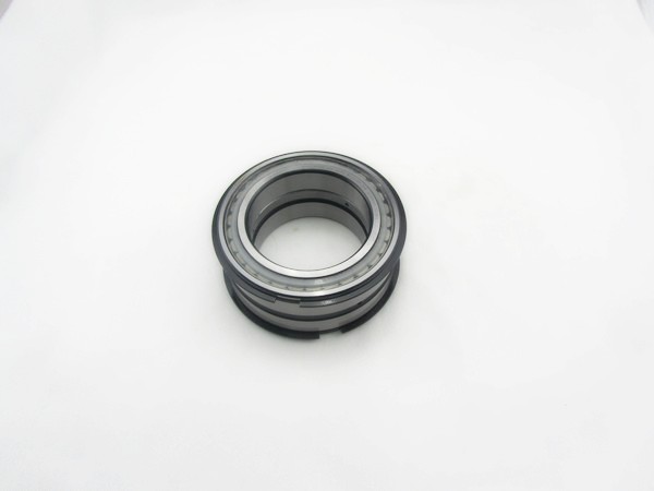 SL045008 PP Roller Thrust Bearing Roller Ball Bearing OEM OD