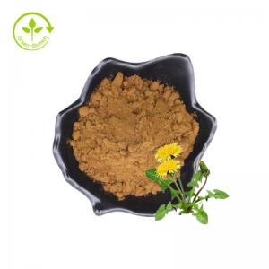 China Factory Directly Selling Pure Natural Dandelion Root Extract Flavonoids Powder on sale