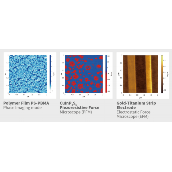 Basic-type Atomic Force Microscope