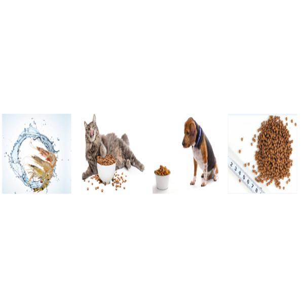 500KG/H Floating Fish Feed Production Line Ornamental Fish Food Extruder CE