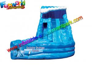 China Special Monster Outdoor Inflatable Water Slides With Landing / Inflatable Air Sliding on sale