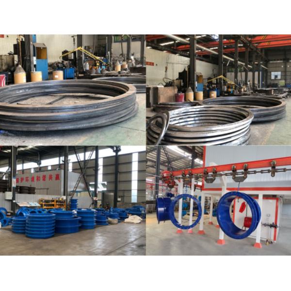 Wide Range Universal Coupling DN250 PN16 Flange Adapter Stainless Steel Compensator Dresser Expansion Bolt Joint