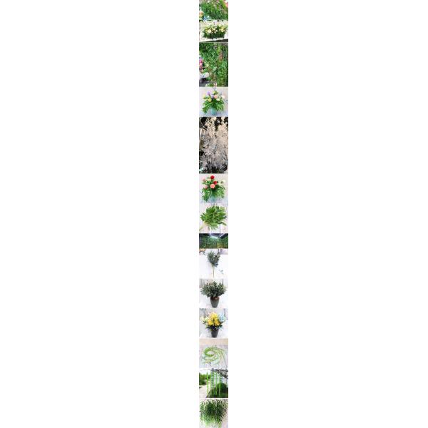 Green Artificial Tree Branches And Leaves / Artificial Willow Tree Strip