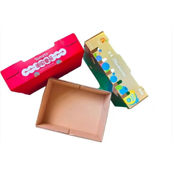 SR-1210X Automatic Paper Making machine