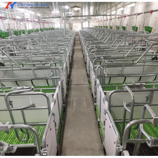 Fast Build Steel Structure Poultry Shed Construction Customized