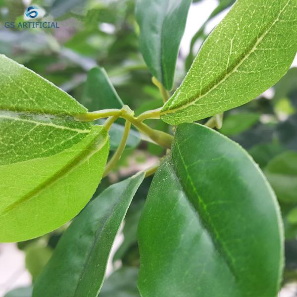 Artificial Polyscias Guifoylei Bailey Tree Decor / Polyscias Fruticosa Tree