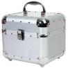 Professional Silver Aluminium Beauty Case Corrosion Resistant With Good Sealing for sale