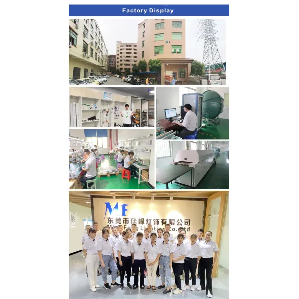 High-Efficiency 365/395nm Air-Cooled Dual-Fan Tech Die-Cast Alu IP43 Housing Dual-Wavelength 60W UV Curing Light for Mobile Screens 3D Resins
