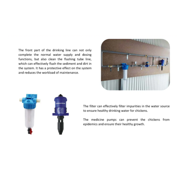 Economical Prefabricated Steel Structure Broiler Equipment with Automatic Feeding System and Corrosion Resistant Design