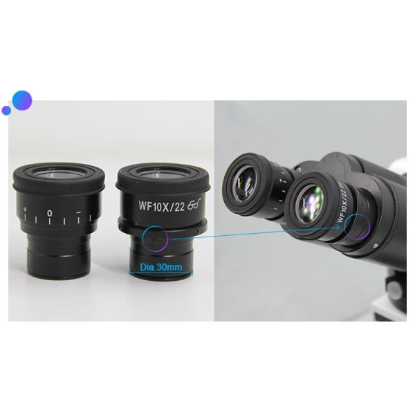 Polarizing Microscope