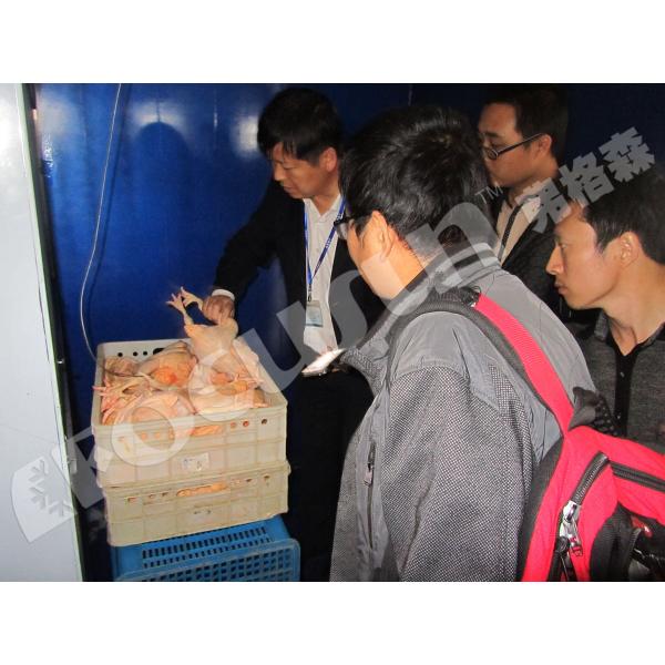 Leafy Vegetables Vacuum Cooler Bock Compressor -5C 5C Temperature Fast Cooling Machine