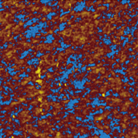 Multifunctional Atomic Force Microscope