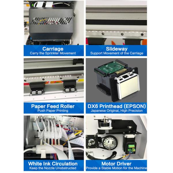 0.6m DTF Transfer Film Printer , Dtf Pet Film Printer With Powder Shaking Machine