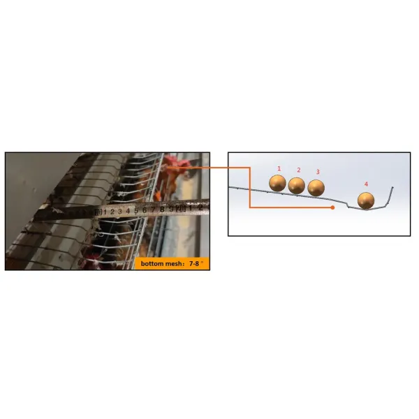 Galvanized Steel H Type Battery Layer Cages with Modular Structure and Automated Feeding for Poultry Farming