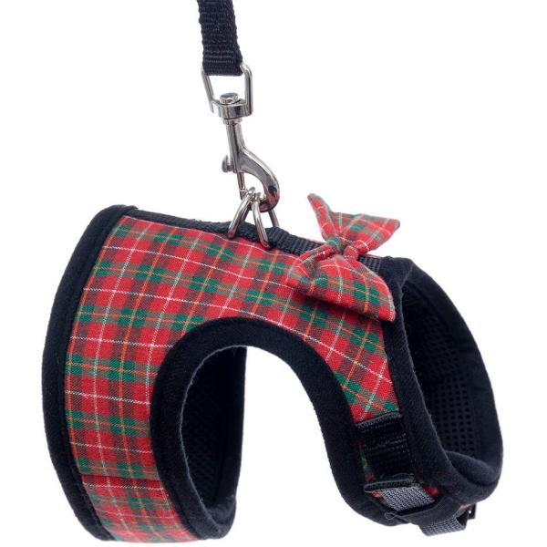 Cute Cat Harness Collar With Heavy D Rings