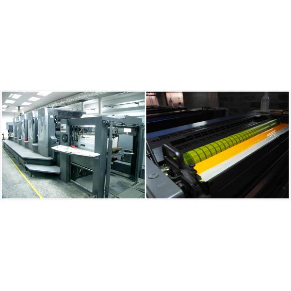 Stamping Hologram Foil Sterial 10ml Vial Boxes Bodybuilding Propionate / Custom Printed Pharma Medical Carton