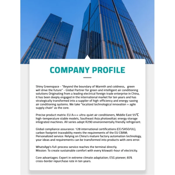 Hisense Company Profile
