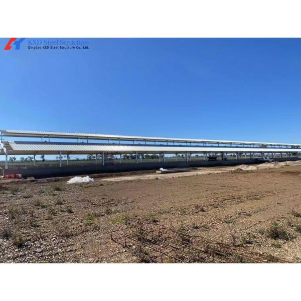 Fast Build Steel Structure Poultry Shed Construction Customized