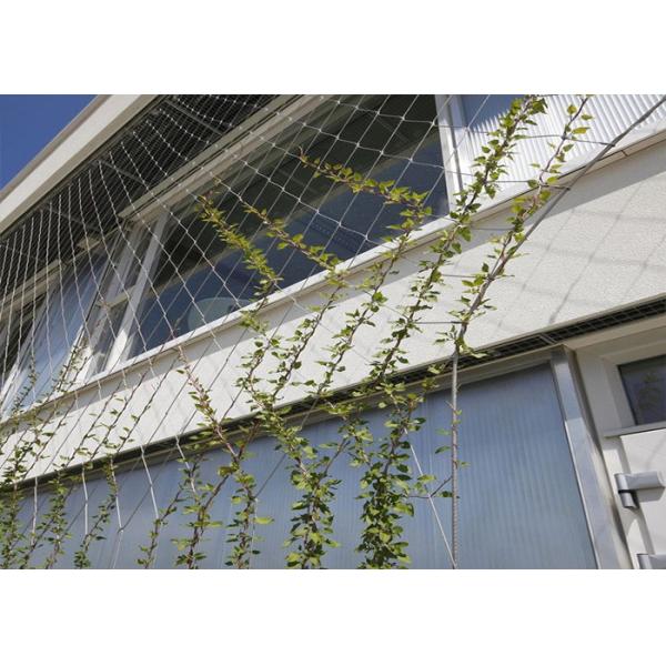 Outdoor aisi304L SS Wire Rope Mesh Steel Mesh For Climbing Plants 2.0m High
