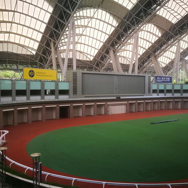 Hexagon Rubber EPDM/SBR Pavers Red Color Rubber Brick For Equestrian And Racecourse Area