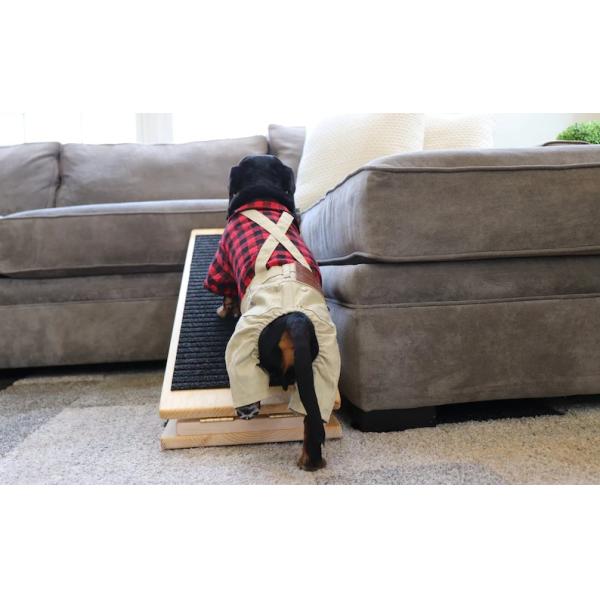Collapsible Height Adjustable Dog Ramp Hold 100Lbs With 3 Layer Carpet Bed Ramp For Dogs