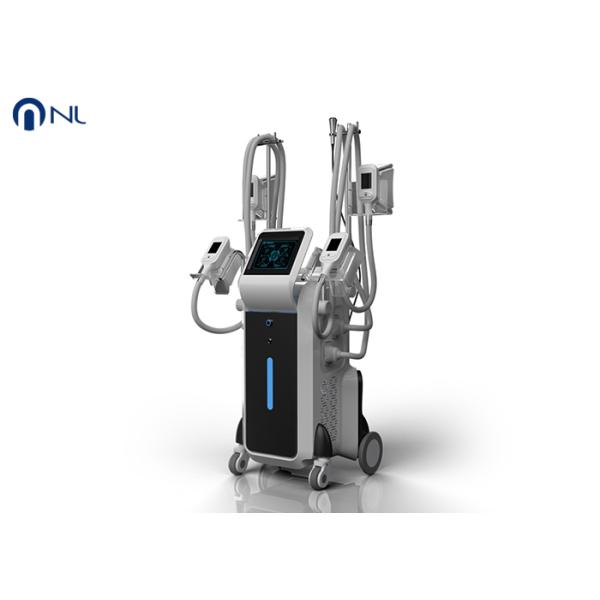 -15oC low degeree 4 handles Factory price body slimming cryoliplysis weight loss machine