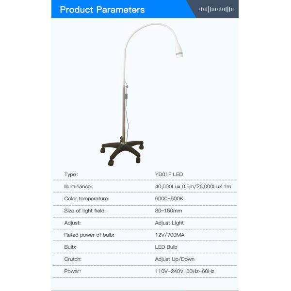 CE Certificate Pure Whitening LED Lamp For Dental Operating 1 Year Warranty