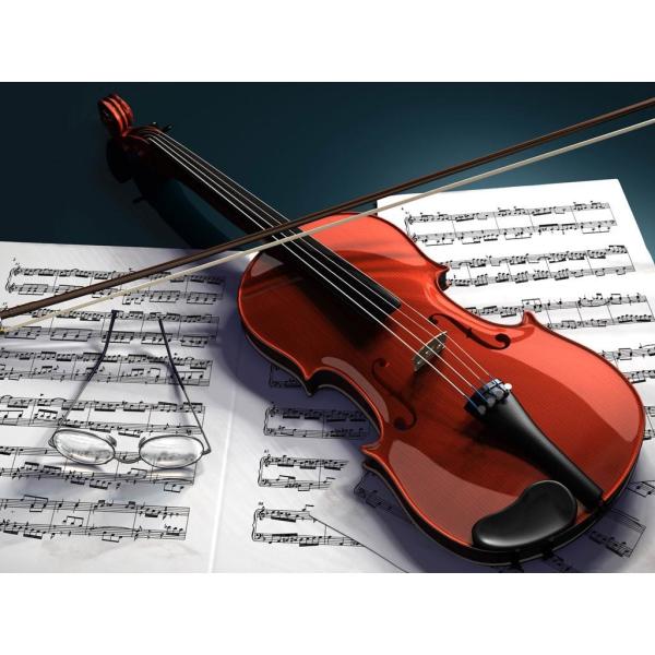 Violin china play Beethoven Violin Sonata No.5 Universal Violin Accessories Professional Use Classical Box For Violin
