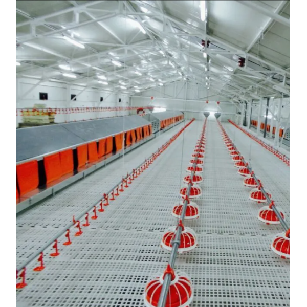 Modular Structure Closed Poultry House System with Adjustable Vents and Hot-Dip Galvanized Automatic Chicken Broiler Farm Equipment