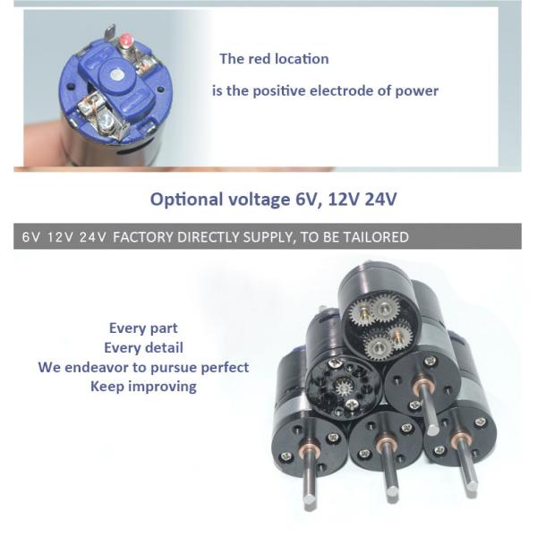 High Torque Dc Reducer Motor 99rpm 17.8W With Double Gear Boxes