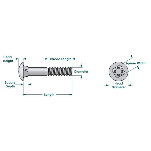 Metric Steel Din603 Hot Dipping Galvanizing Mushroom Head Carriage Bolt
