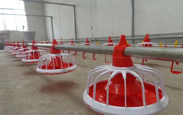 Fully Automatic Poultry Feeding System with Corrosion Resistant High Efficiency Chicken House Feeding Equipment