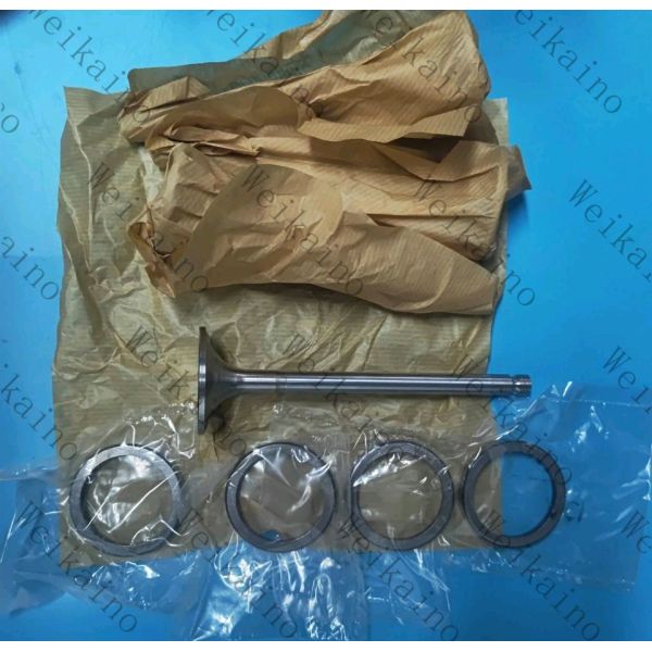 T401928 Diesel Engine Valves Exhaust Engine Valve For Perkins 4000 Series