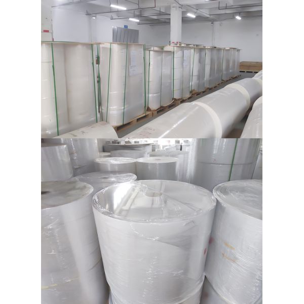 Custom Self Adhesive Label Paper Roll 72gsm for Direct Thermal Sticker