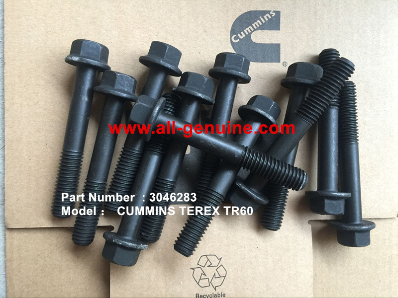 TEREX 3046283 CAP