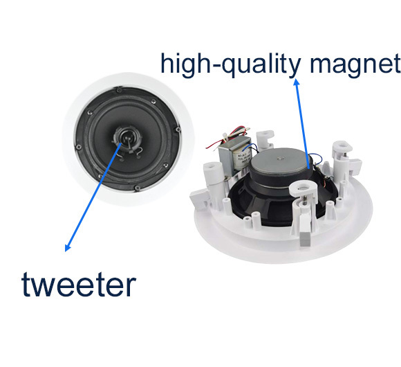 15W/7.5W 6-inch Coaxial Speaker 100V Ceiling Speakers ABS Material Flush Mount OEM ODM Factory Sale
