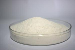 China pepsin, pepsin enzyme, pharm &food grade pepsin powder cas. 9001-75-6 on sale