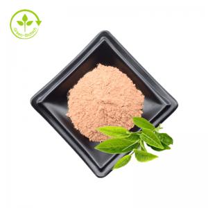 China Organic Green Tea Green Instant Tea Extract Powder EGCG Powder By GMP Factory on sale
