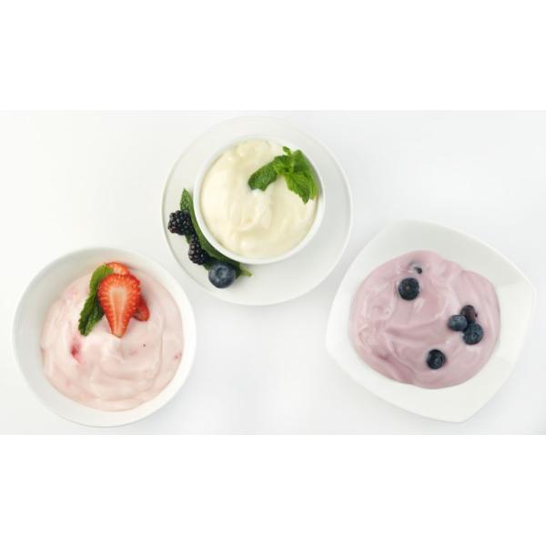 Energy Efficient Yogurt Maker Without Electricity Flavored Yogurt Making Machine