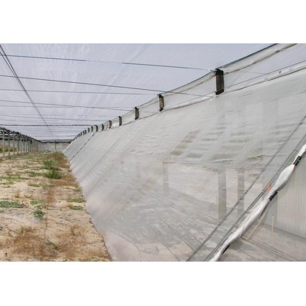 100% HDPE 4x50m Insect Mesh Netting For Greenhouse Nursery / Agricultural