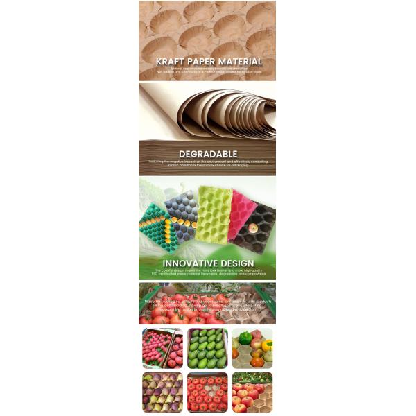 Bulk Selling 30-Hole Apple Packaging Tray Fruit Liners PP Material Tray Paper Liner Supplier