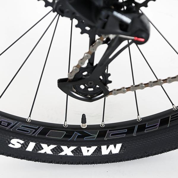 148mm Boost Titanium 29er Hardtail Mountain Bike SRAM SX EAGLE 12 Speed