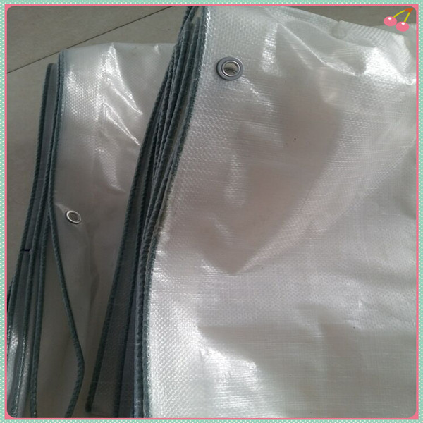 Clear plastic tarpaulin,clear mesh fabric tarpaulin
