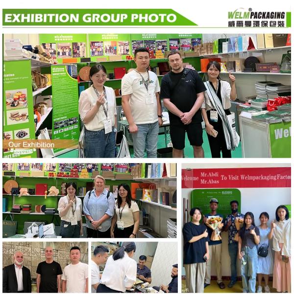 Custom Biodegradable Lunch Box Sustainable Sushi Burger Salad Packaging Solution