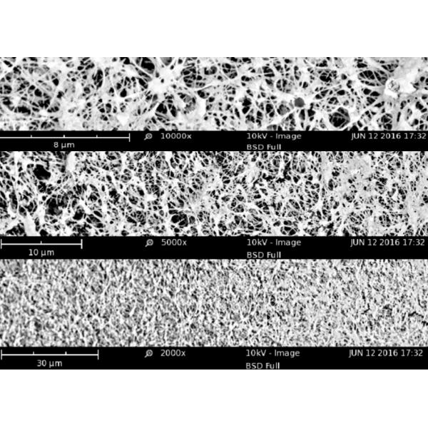Hydrophobic EPTFE Microporous Membrane 0.22/0.45/1.2/3μm With PP Or PET Support Layer For Medical Use