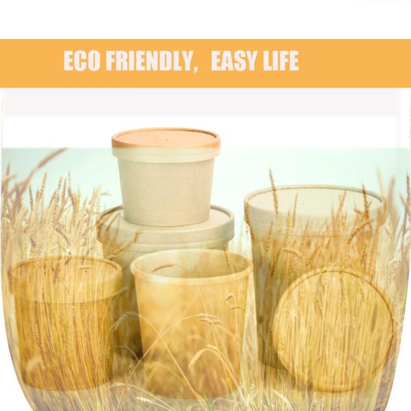 Disposable biodegradable leaf shape mini sugarcane DIY bagasse paper salad plate display tray
