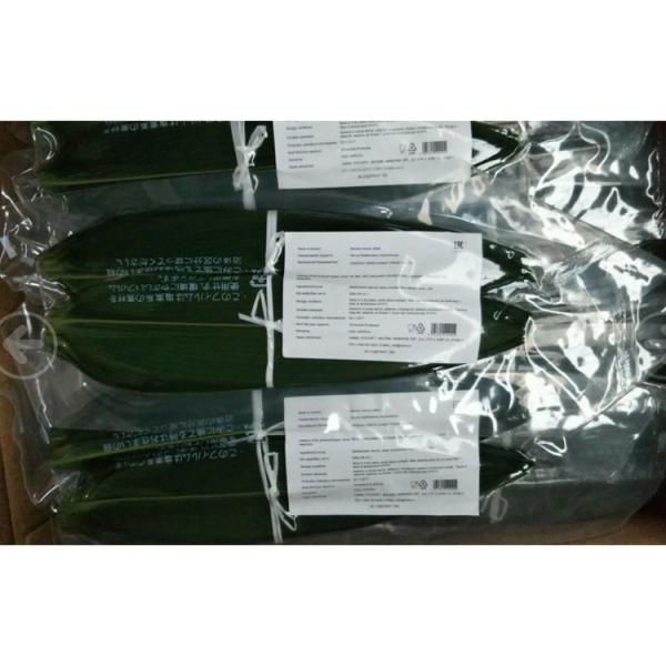 Wholesale Natural Sushi Fresh Bamboo Leaf Leaves