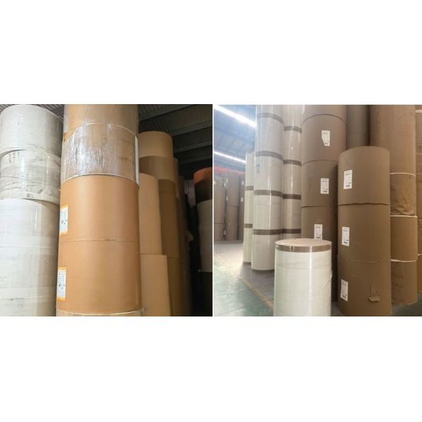 Export FDA Quality Waterproof PLA Coated Paper Rolls For Food Containers Pure Material